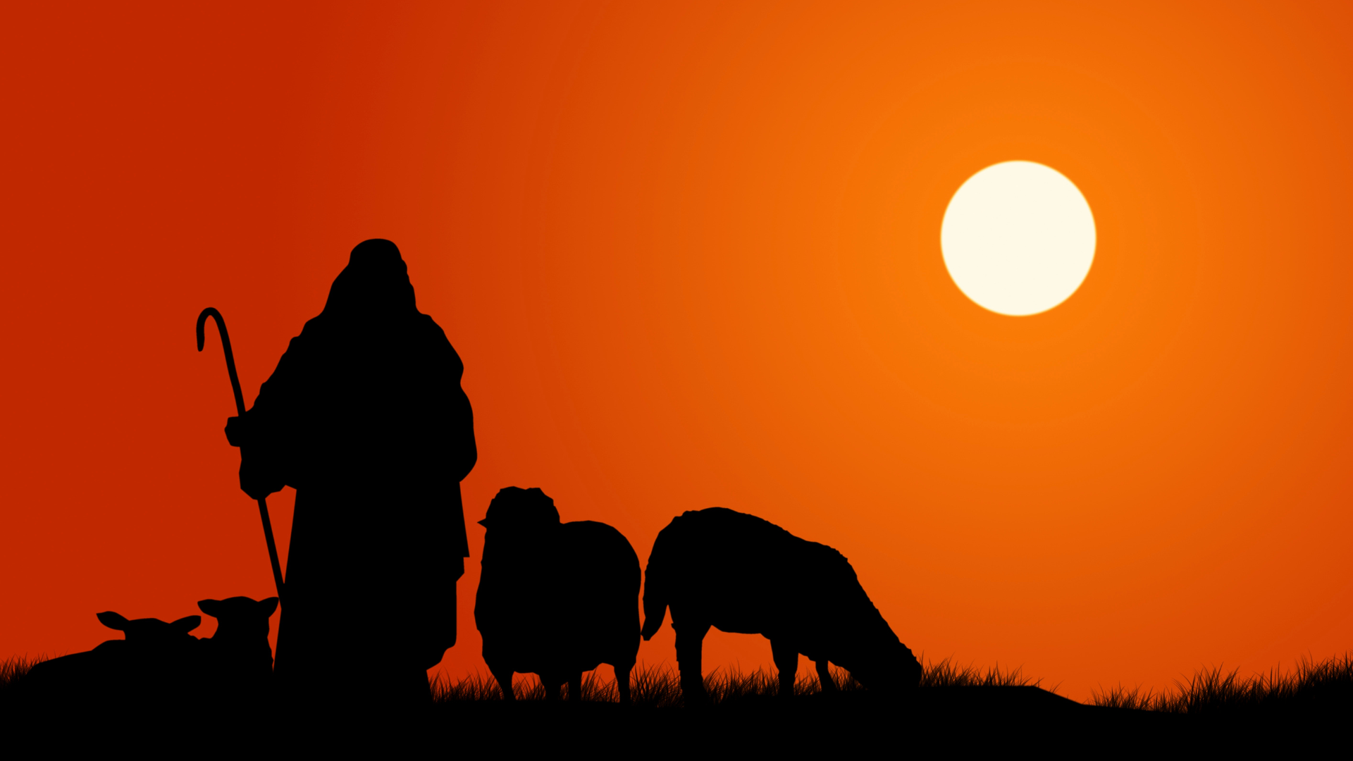 What to Do as a New Christian